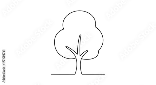 Minimalist line art of a deciduous tree with simple trunk and round crown