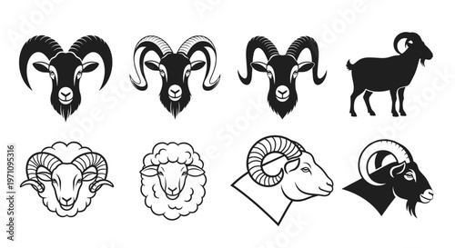 Collection of detailed black and white ram and sheep head illustrations in various styles including side and front views.