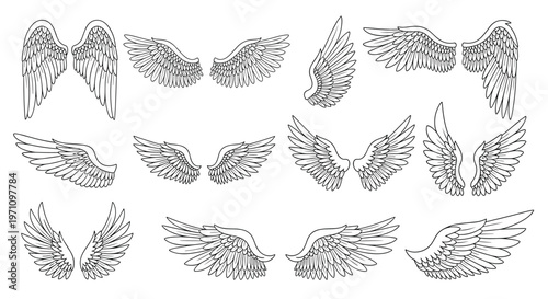 Diverse collection of various bird and angel wing pairs in black and white line art style for mythological or nature designs.
