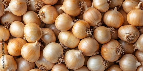 Coppery Shallot Harvest Filling The Frame with Crispy Paper Like Exterior and Textural Appeal