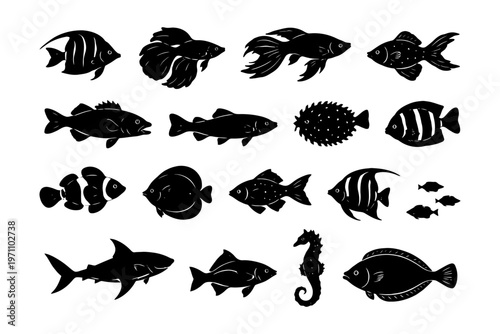 Silhouettes of various fish species including shark seahorse and tropical fish.