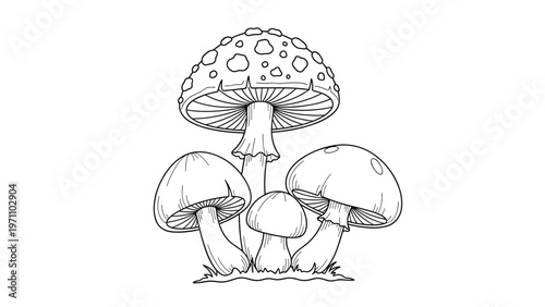 Detailed black and white line art illustration of a cluster of various mushrooms, showcasing their intricate caps and stems, ideal for coloring pages or nature studies.