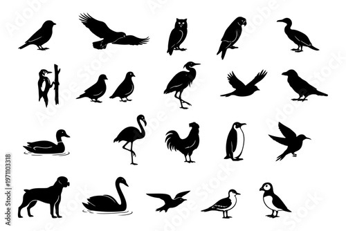Silhouette collection of various birds and animals in diverse poses.