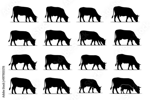 Silhouettes of cows grazing in various poses on white background.