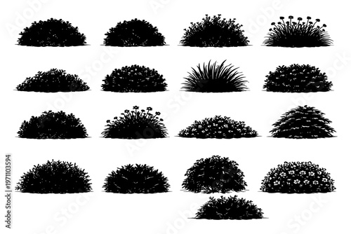 Silhouettes of diverse shrub varieties in neat rows highlighting unique shapes and textures.