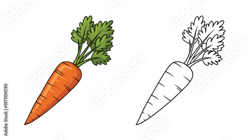 Vibrant orange carrot with fresh green leaves is shown alongside its black-and-white outline drawing for coloring.