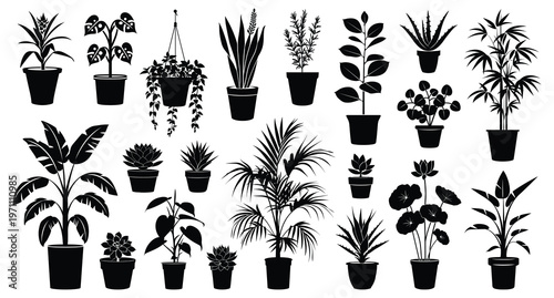 Fotografía Silhouettes of diverse potted plants, isolated vector set