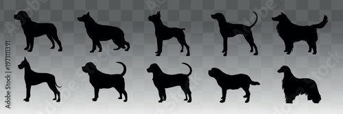 Silhouettes of various dog breeds vector set