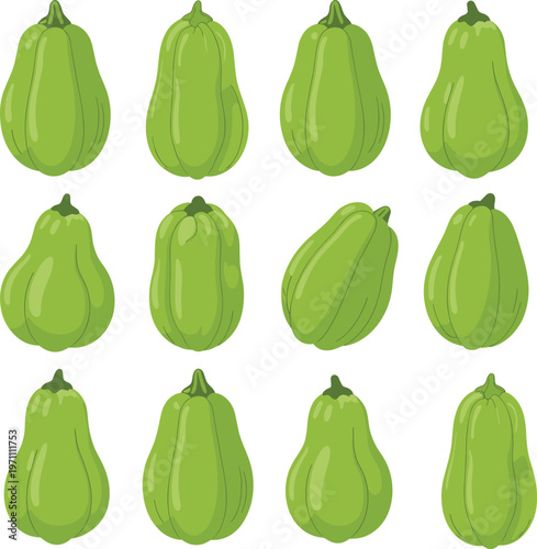 Green chayote squash collection illustration set, fresh organic vegetable icons, healthy food ingredient isolated on light background, vector design