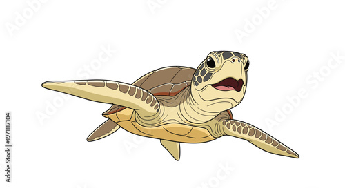 Beautiful sea turtle swimming gracefully in clear water with its flippers extended against a clean white background.