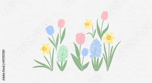 Colorful spring flowers including tulips and daffodils in pastel shades on white background