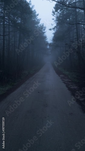Drone POV flying over a lonely road through a dark misty pine forest in the fog
