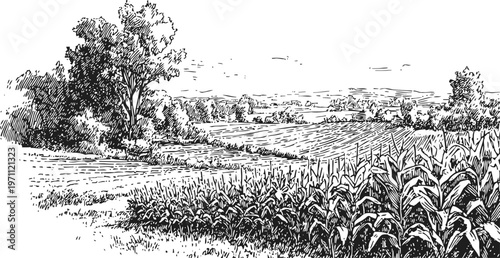 Rural farmland landscape with cornfield, trees, and expansive countryside view in detailed ink drawing