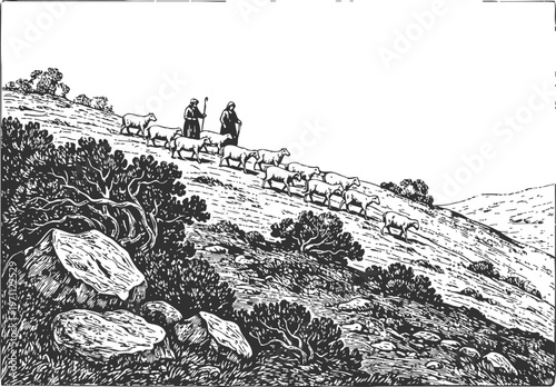 Shepherds guiding sheep down rocky hillside in rural landscape, pastoral outdoor scene