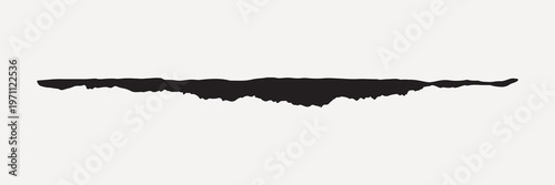 Abstract torn paper silhouette design vector