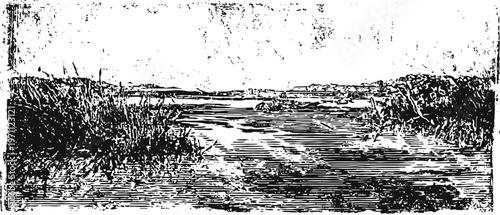 Vintage black and white engraving of a river landscape with bushes and distant shore