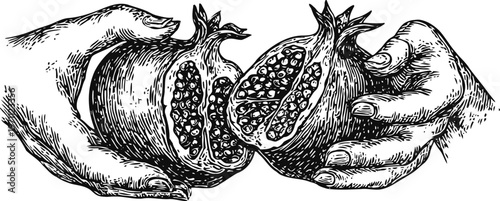 black and white hand drawn illustration of hands breaking a pomegranate fruit with visible seeds inside