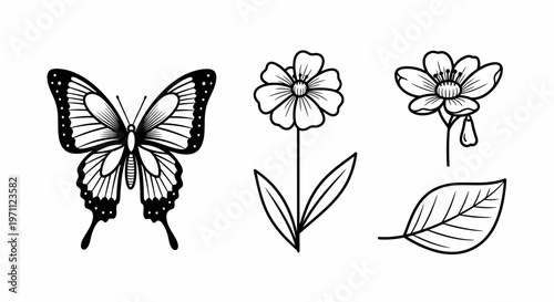 Elegant Black and White Line Art Illustrations: Butterfly, Blooming Flowers, and Leaf Outline Drawing Set for Design.