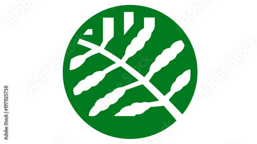 Abstract green circle graphic with stylized white organic plant branch and leaves, concept of nature, ecology, growth, and natural products