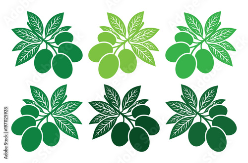 新鮮なオリーブの枝葉と実のベクターセット、緑豊かな植物のイラスト素材、健康的な食品やオイルのアイコン、自然派デザインのグラフィックリソース