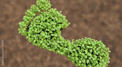Green plant leafy structure closeup macro.