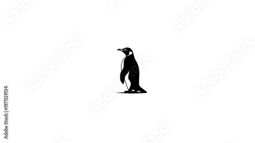 Stylized black and white penguin silhouette standing upright on a clean white background, animal graphic illustration
