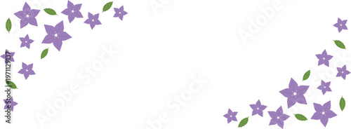 キキョウのフレーム