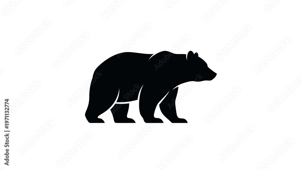 Fototapeta premium Black bear walking in profile view.