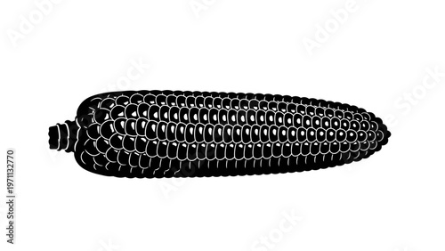 Black corn on the cob illustration.
