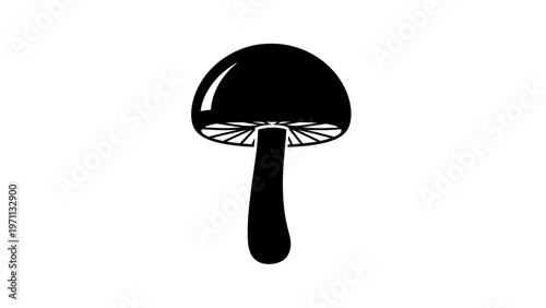 Black Mushroom Illustration Isolated on White.