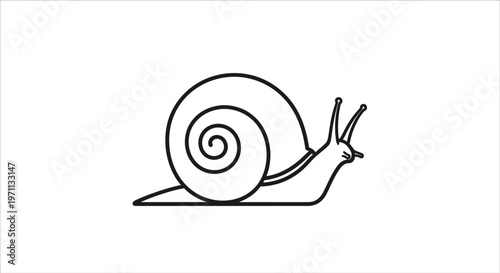 Snail illustration simple outline of a mollusk on white background