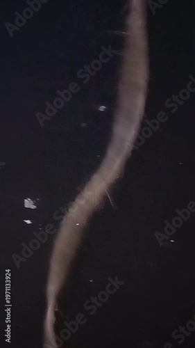 water drops on black background