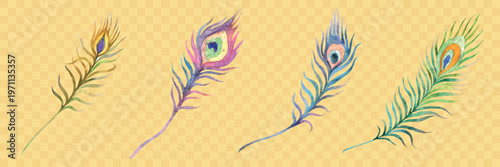 Colorful peacock feathers on a yellow background. Four feathers, each with unique patterns. Vibrant peacock feathers add elegance and charm to the design. Easter illustrations, isolated vector set.