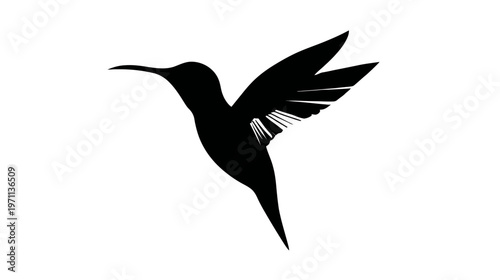 Stylish flying hummingbird silhouette icon in black and white, minimalist vector graphic design element