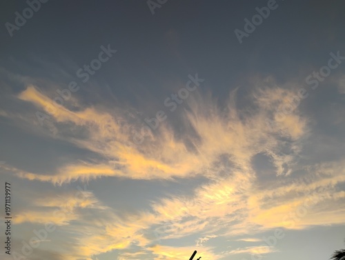 Mysterious dragon shaped sunset in the clouds