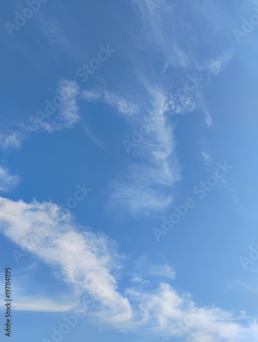 blue sky with clouds and animal face visible in the clouds