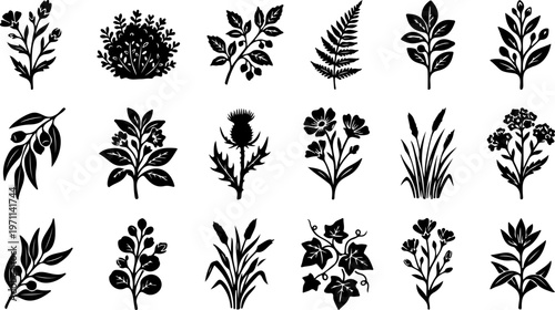 Decorative set of black floral vector silhouettes featuring vintage flower ornaments, leafy branches, and nature elements for elegant tattoo patterns or botanical art design illustrations