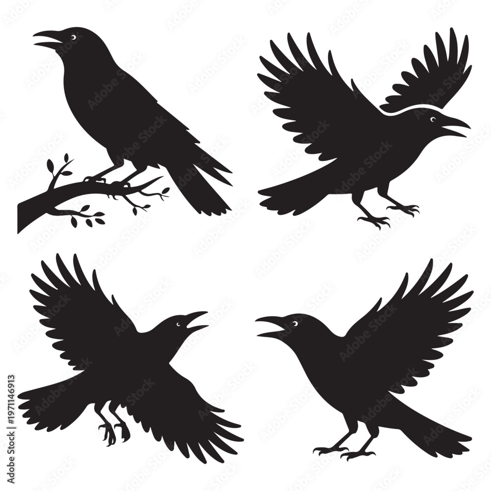 Fototapeta premium Raven Silhouette Collection – Different Poses
