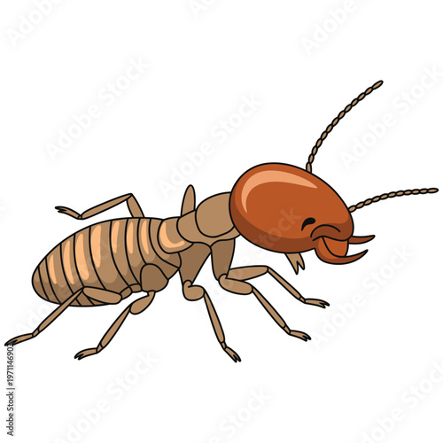termite