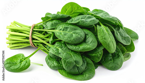 Fresh green spinach leaves tied with twine against a white background.