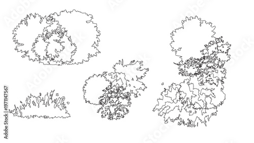 Natural tree clusters top view symbols for architectural landscape design and garden plans.