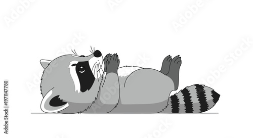 Cute and funny cartoon raccoon character lying playfully on its back with its paws up in a relaxed pose on white background.