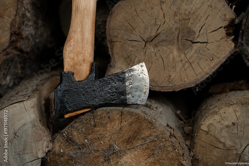 Tableau sur toile Traditional black finish Finnish axe stuck in a birch log for splitting firewood