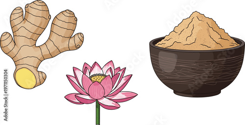 Ginger, Lotus Flower, and Herbal Powder Vector Set for Natural Remedies, Spices, and Wellness Designs
