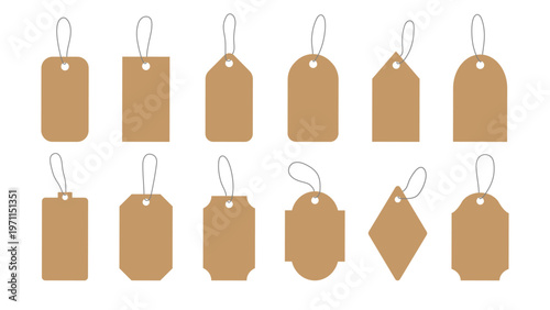 Variety of blank brown tags vector set