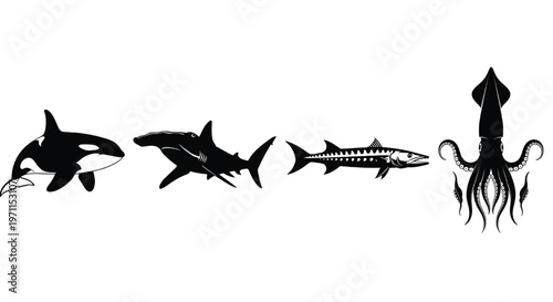 Silhouettes of ocean creatures