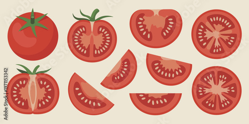 Red tomato set featuring whole and sliced ripe tomatoes with seed details, illustrated in a cartoon fresh farm style, crafted as an organic vegetarian food vector collection ideal for kitchen decor, 