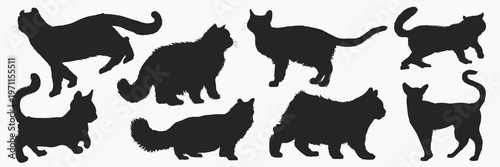 Silhouettes of various cats in different poses. Cat silhouettes include fluffy and sleek cats. Cat shapes are in black, showing diverse cat postures. Animal illustrations, isolated element vector set.
