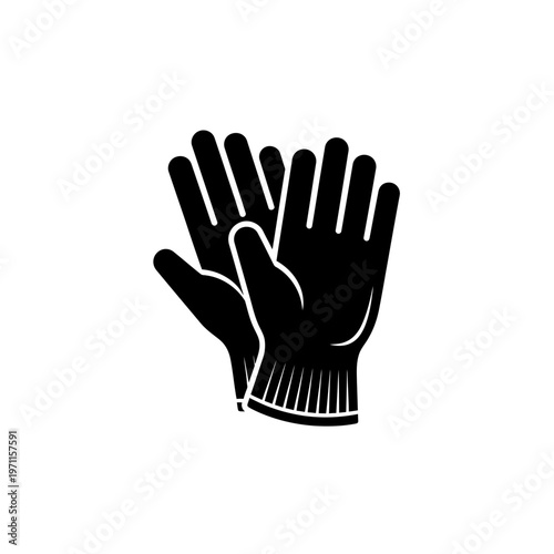 A pair of black gloves.