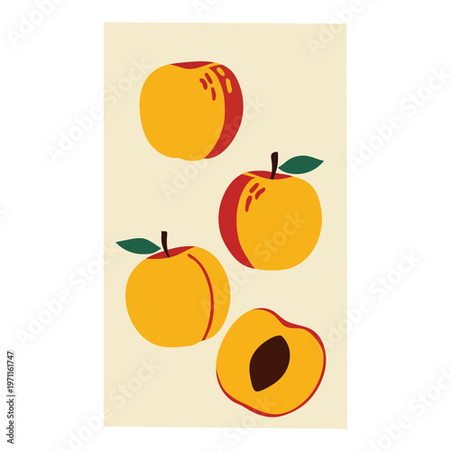 Illustration of fresh peaches including whole fruits and a sliced peach with a pit